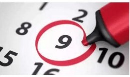 知乎最新爆料文章推荐,揭秘网络红人背后的真相与争议