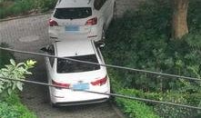 奉节生活网最新爆料,揭秘奉节最新热点事件！